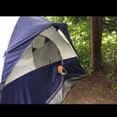 Review photo of Crooked Run Campground — Prince Gallitzin State Park by Jay B., September 5, 2017