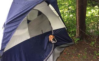 Jay B.'s photo at Crooked Run Campground — Prince Gallitzin State Park near Indiana, PA