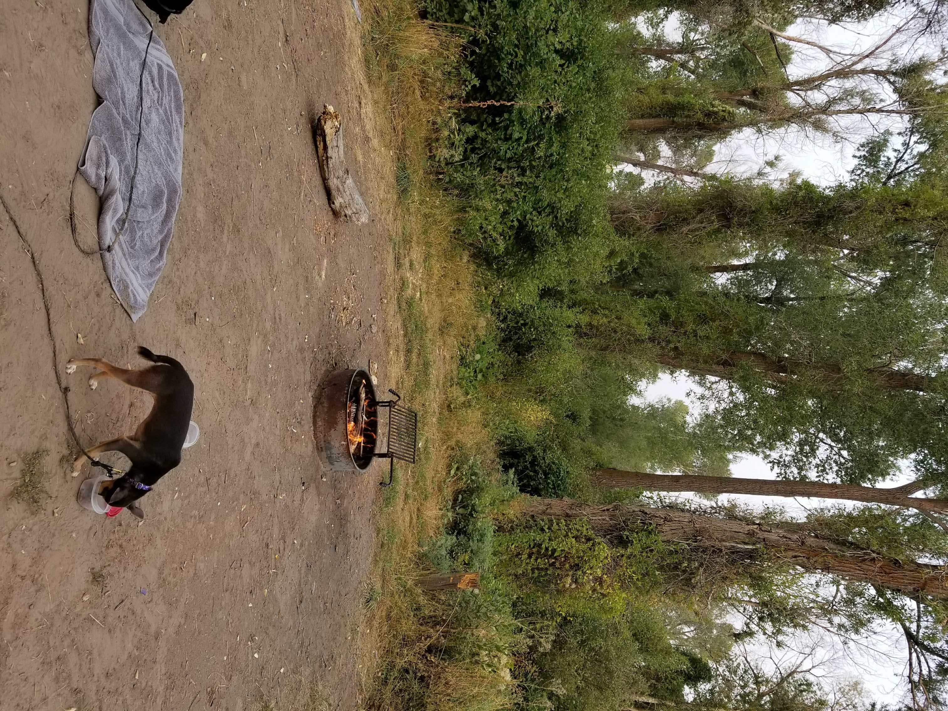 Camper submitted image from Wolf Flats Recreation Area - 2