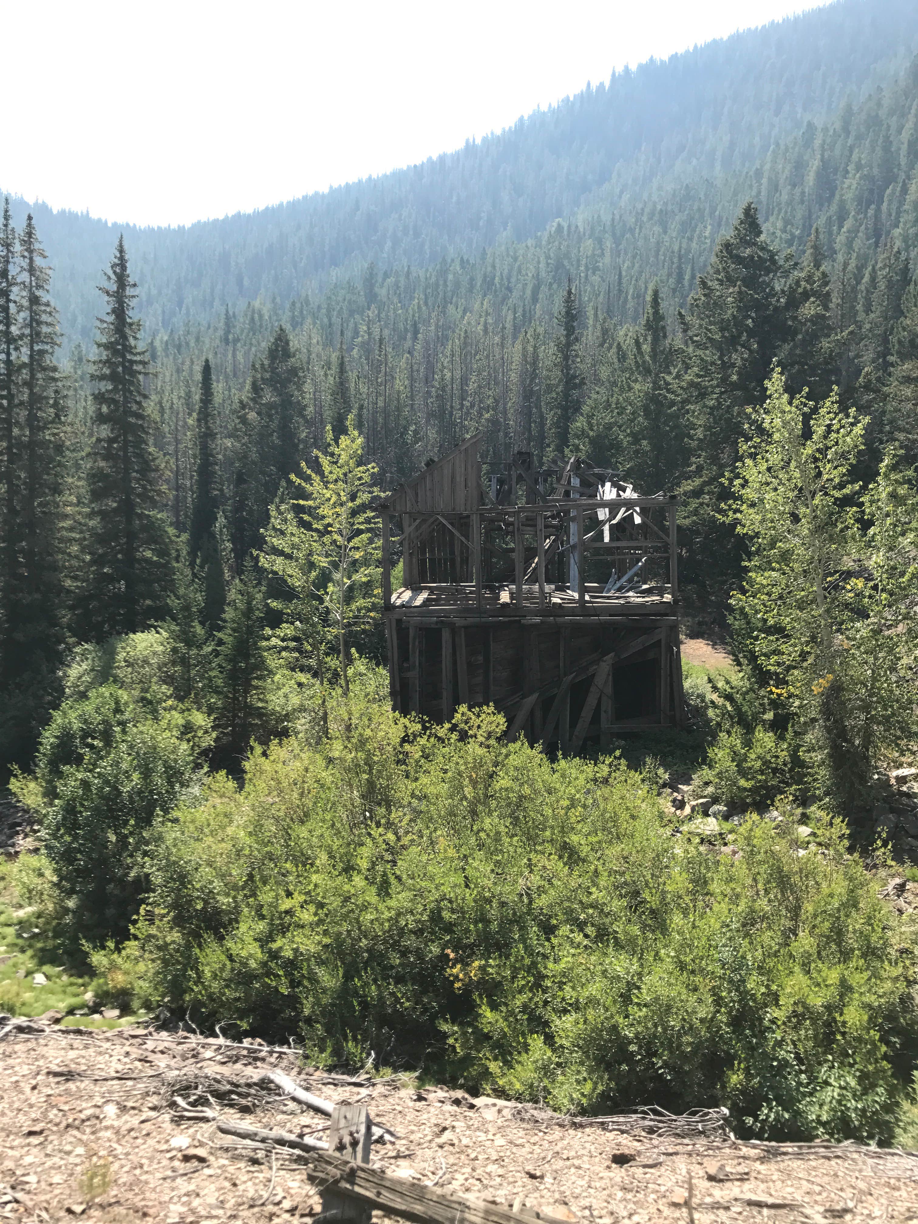 Camping near Big Bayhorse: Bayhorse Recreation Site, Challis, Idaho