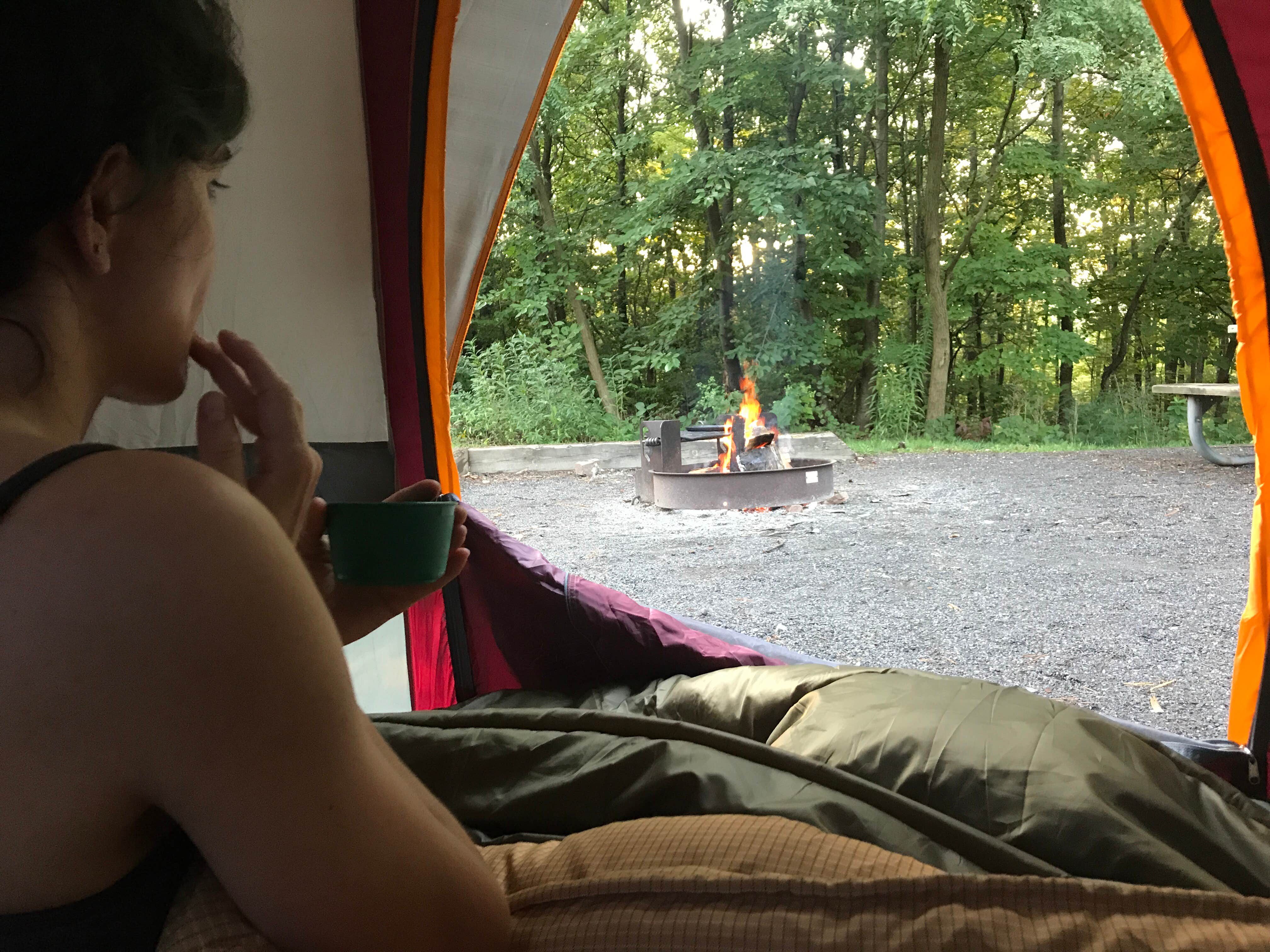 Camper submitted image from Seven Points (PA) - 4