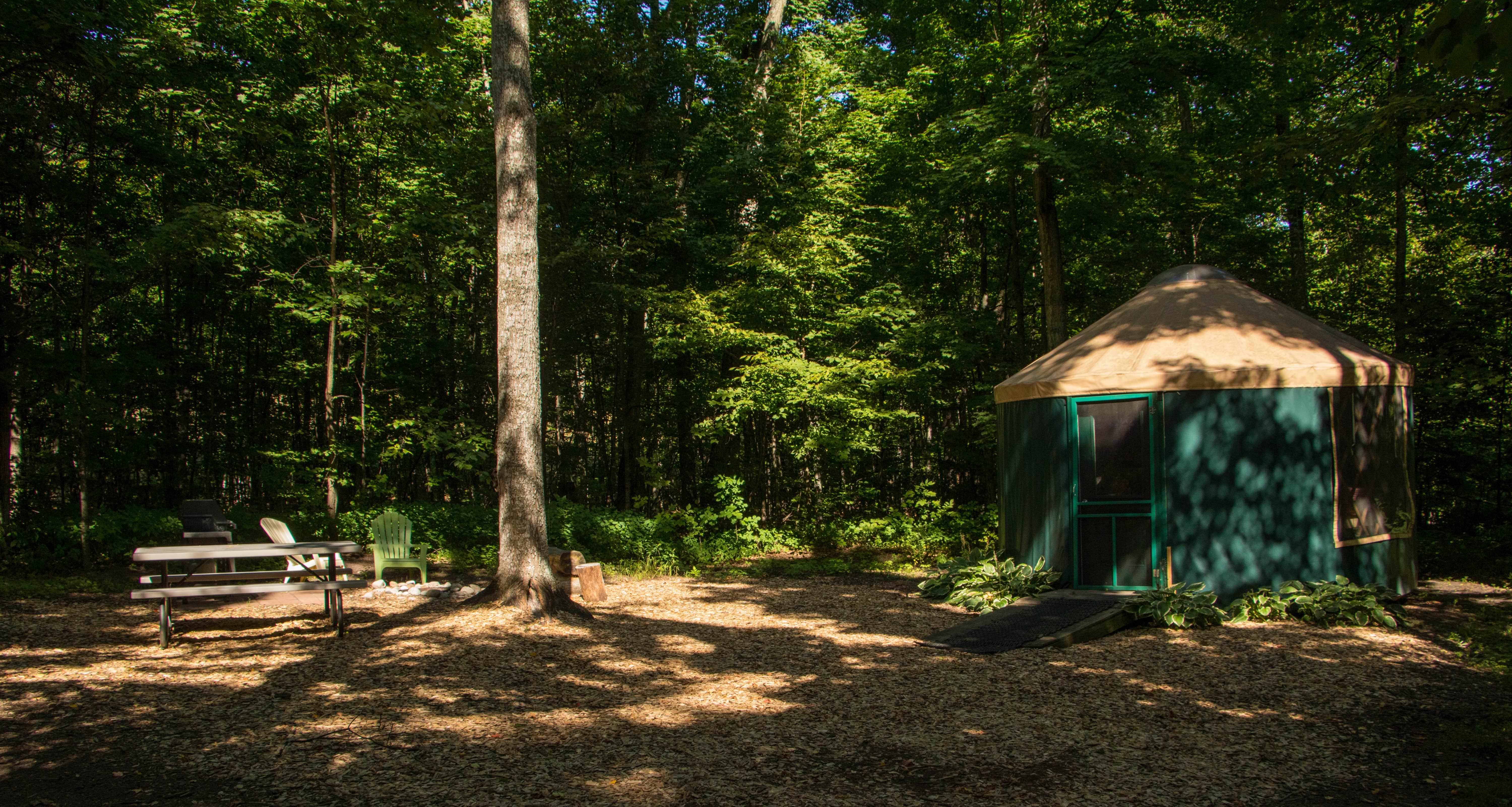 Shari  G.'s photo of a cabin at Wild Cherry RV Resort near South Boardman, MI
