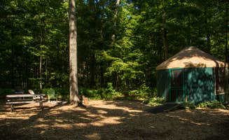 Shari  G.'s photo of a cabin at Wild Cherry RV Resort near Arcadia, MI