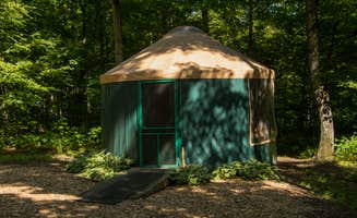 Shari G.'s photo of a cabin at Wild Cherry RV Resort near Ellsworth, MI