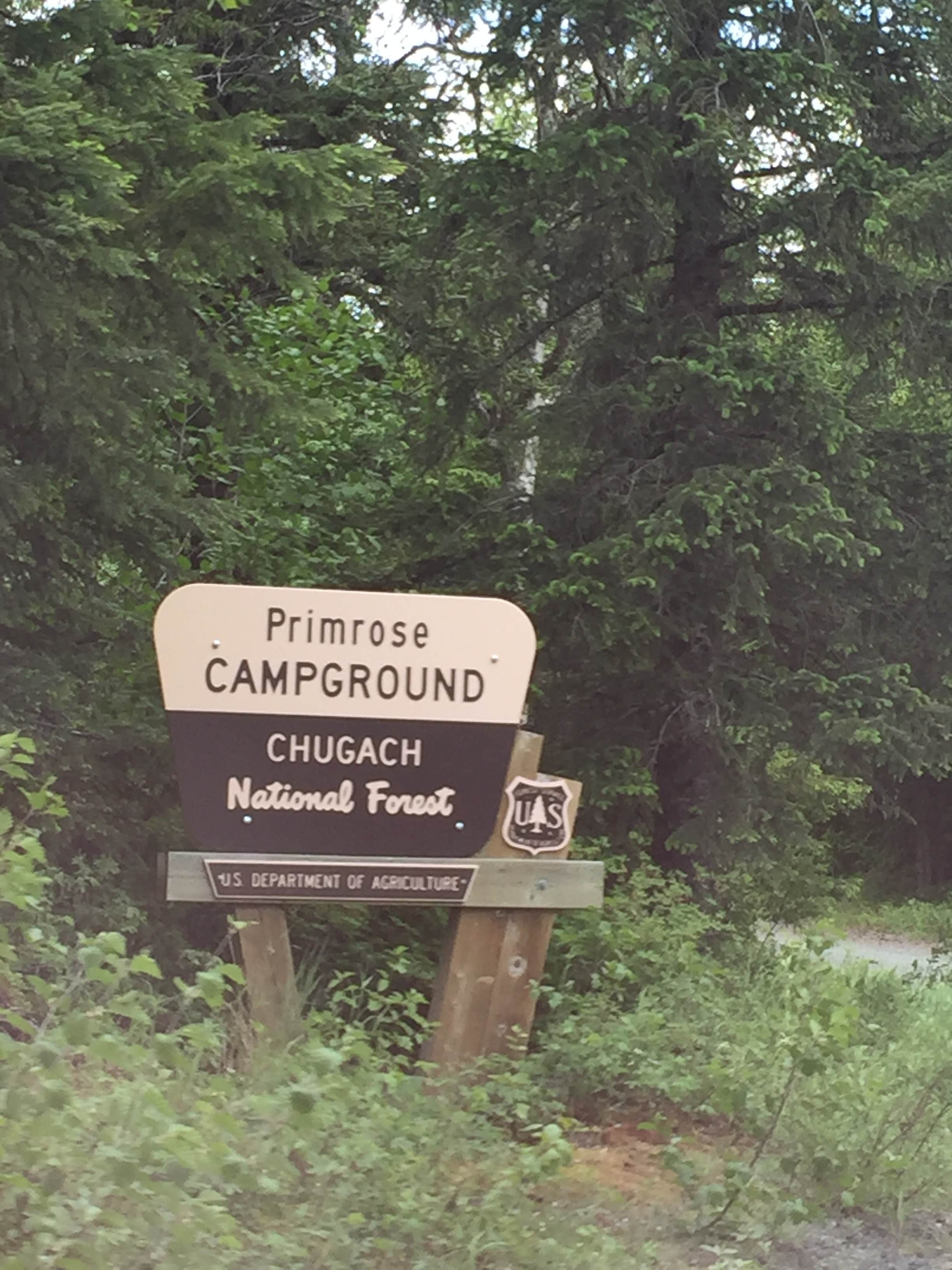 Camper-submitted photo at Primrose Trailhead near Cooper Landing, AK