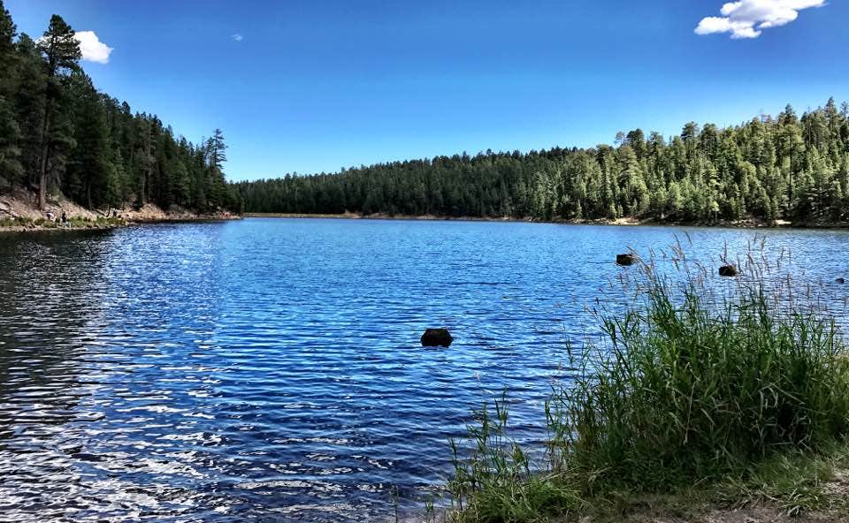 Camper submitted image from Bear Canyon Lake and Camping Area - 3