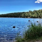 Review photo of Bear Canyon Lake and Camping Area by Michelle D., September 5, 2017