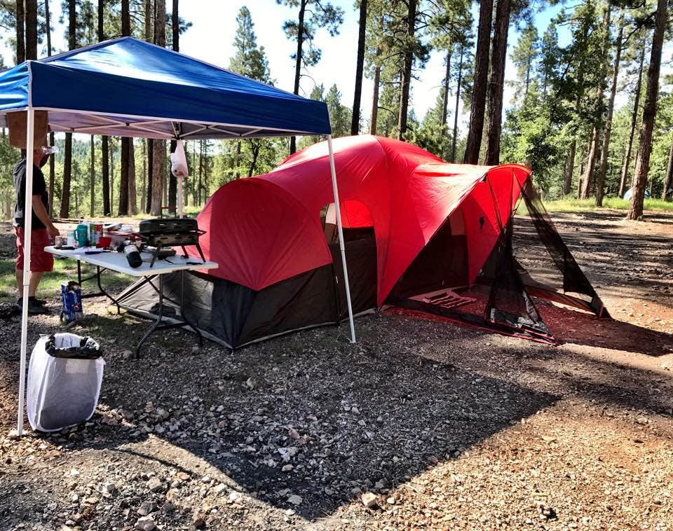 Michelle D.'s photo of a dispersed camping area at Bear Canyon Lake and Camping Area near Young, AZ
