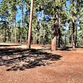 Review photo of Bear Canyon Lake and Camping Area by Michelle D., September 5, 2017