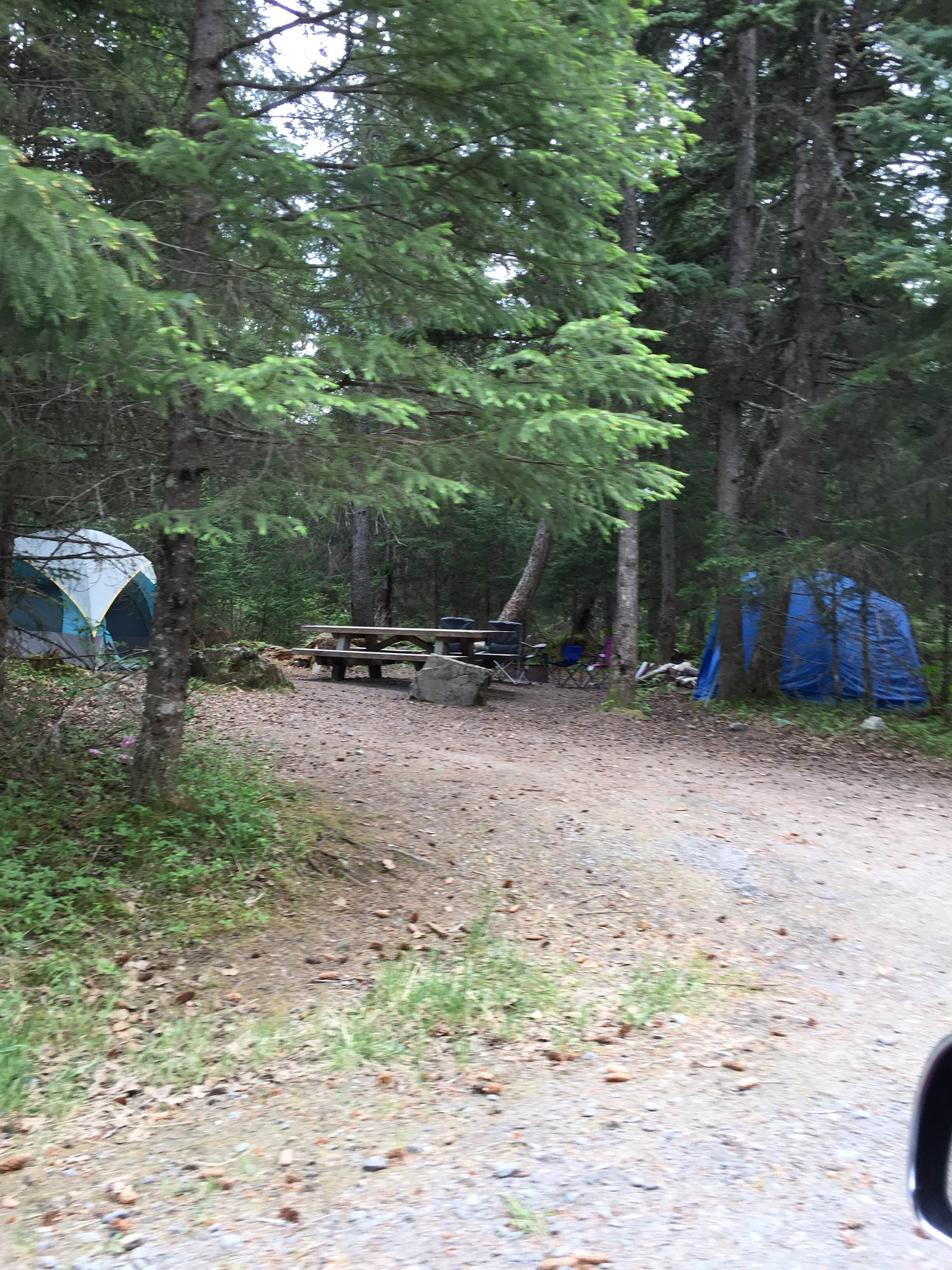 Camper submitted image from Primrose Trailhead - 2