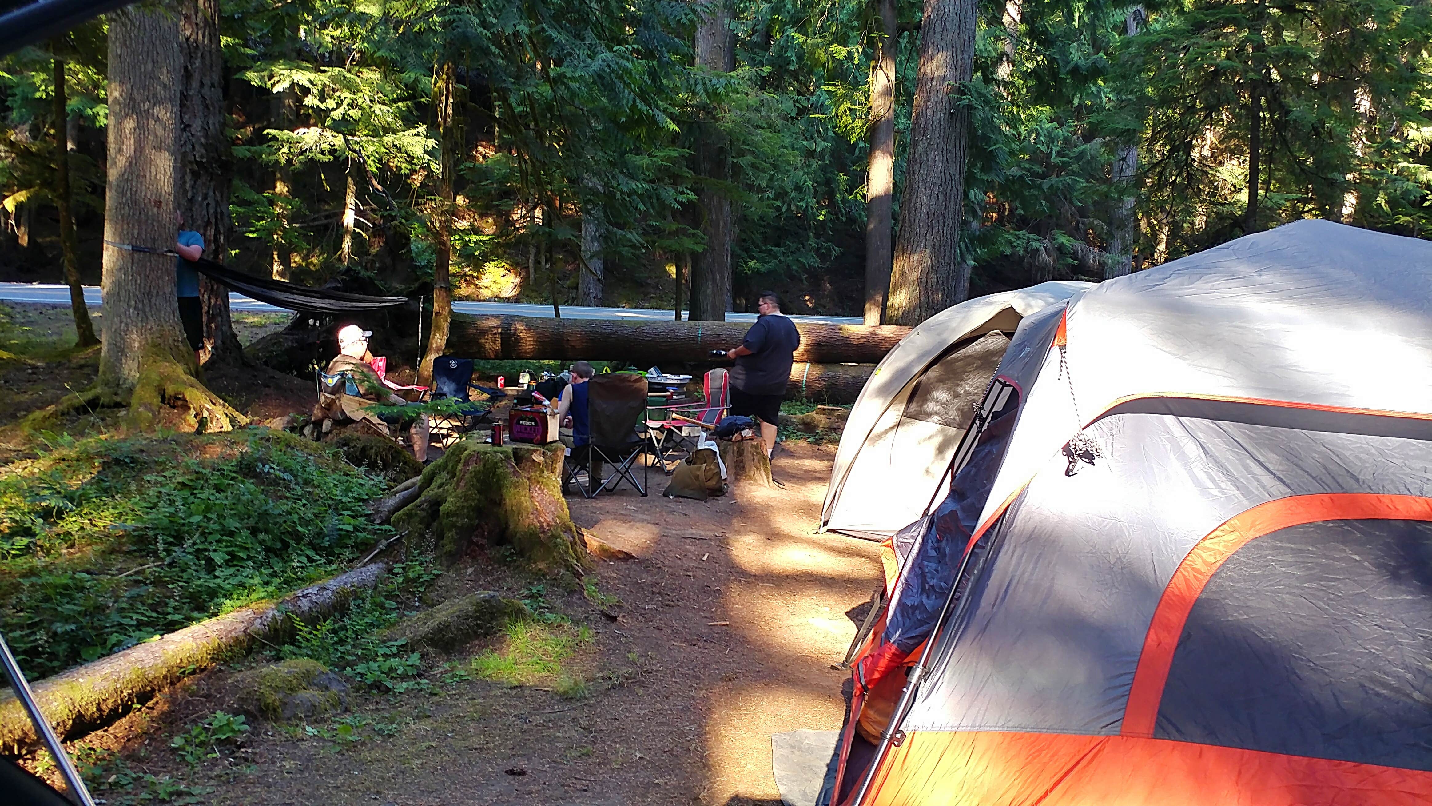 Camper submitted image from The Dalles Campground - 3