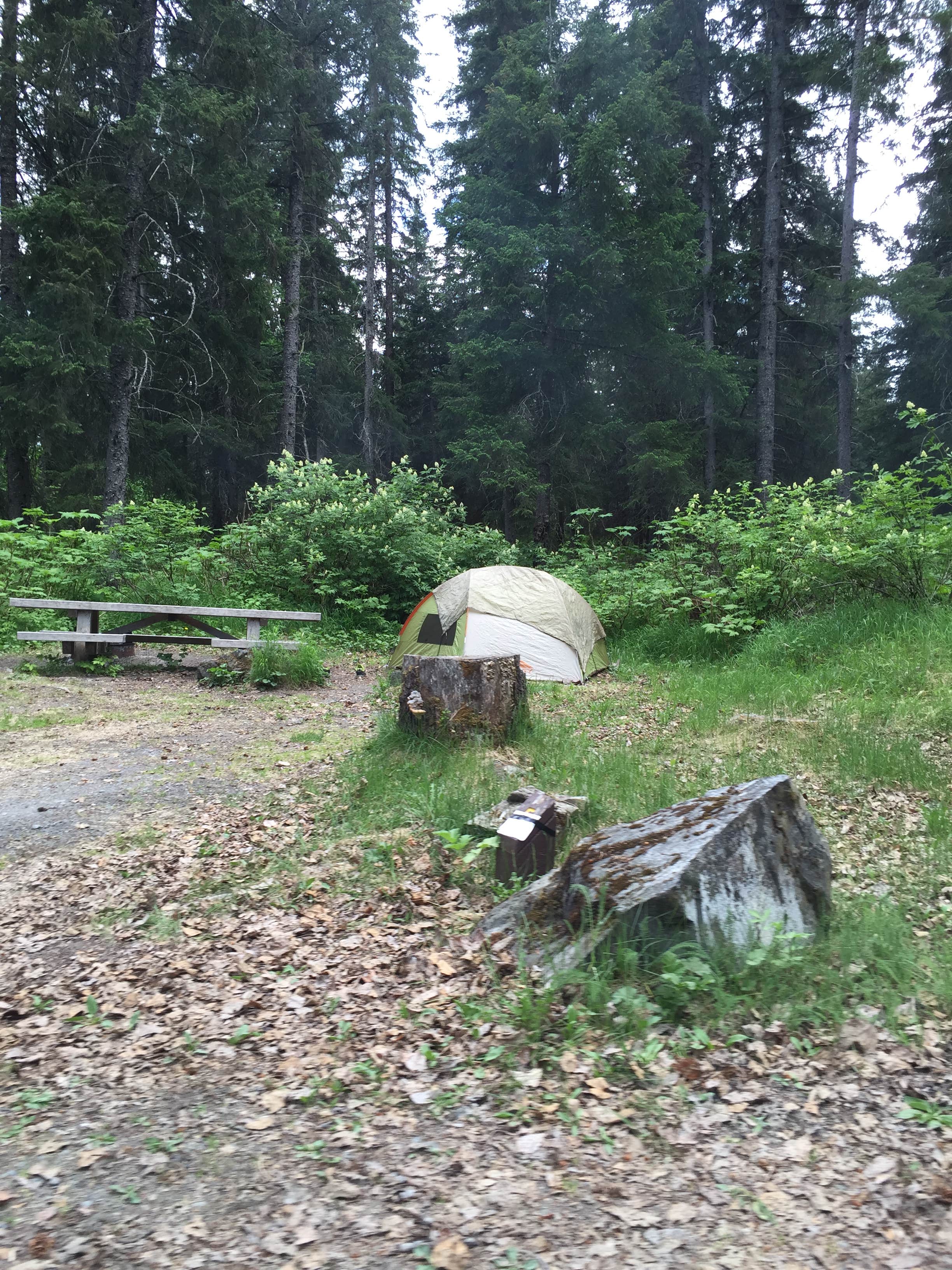 John L.'s photo at Primrose Trailhead near Chugach National Forest