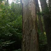 Review photo of Hawleys Landing Campground — Heyburn State Park by Melissa M., September 6, 2017