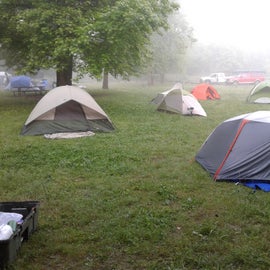 Morning fog descends on our camp. 