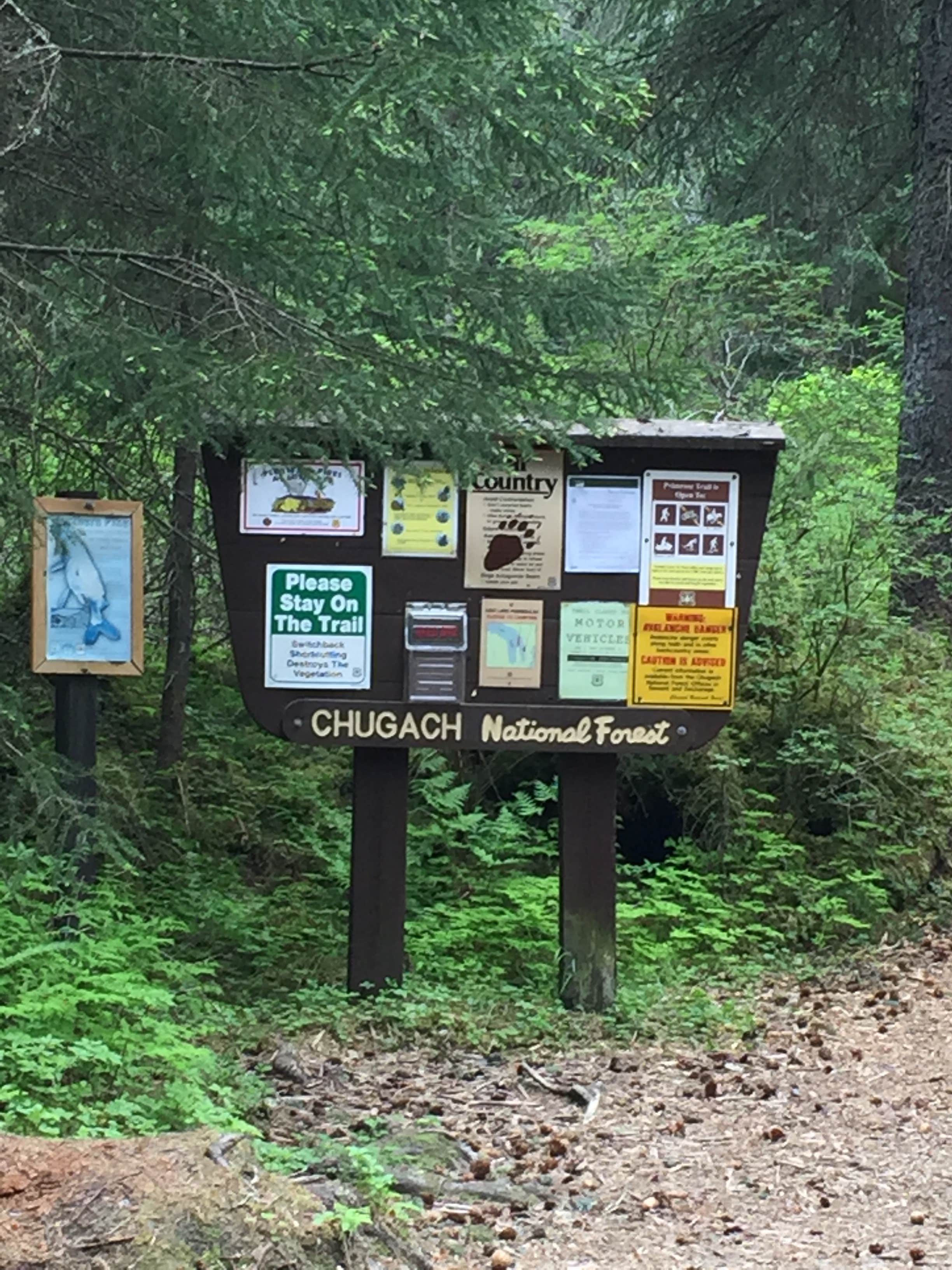 Camper-submitted photo at Primrose Trailhead near Cooper Landing, AK