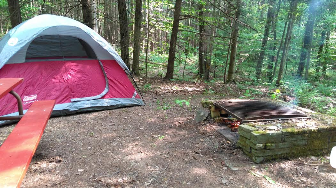Eshay R.'s photo at Camp Earth Connection near Brooktondale, NY