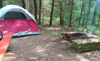 Eshay R.'s photo at Camp Earth Connection near Candor, NY