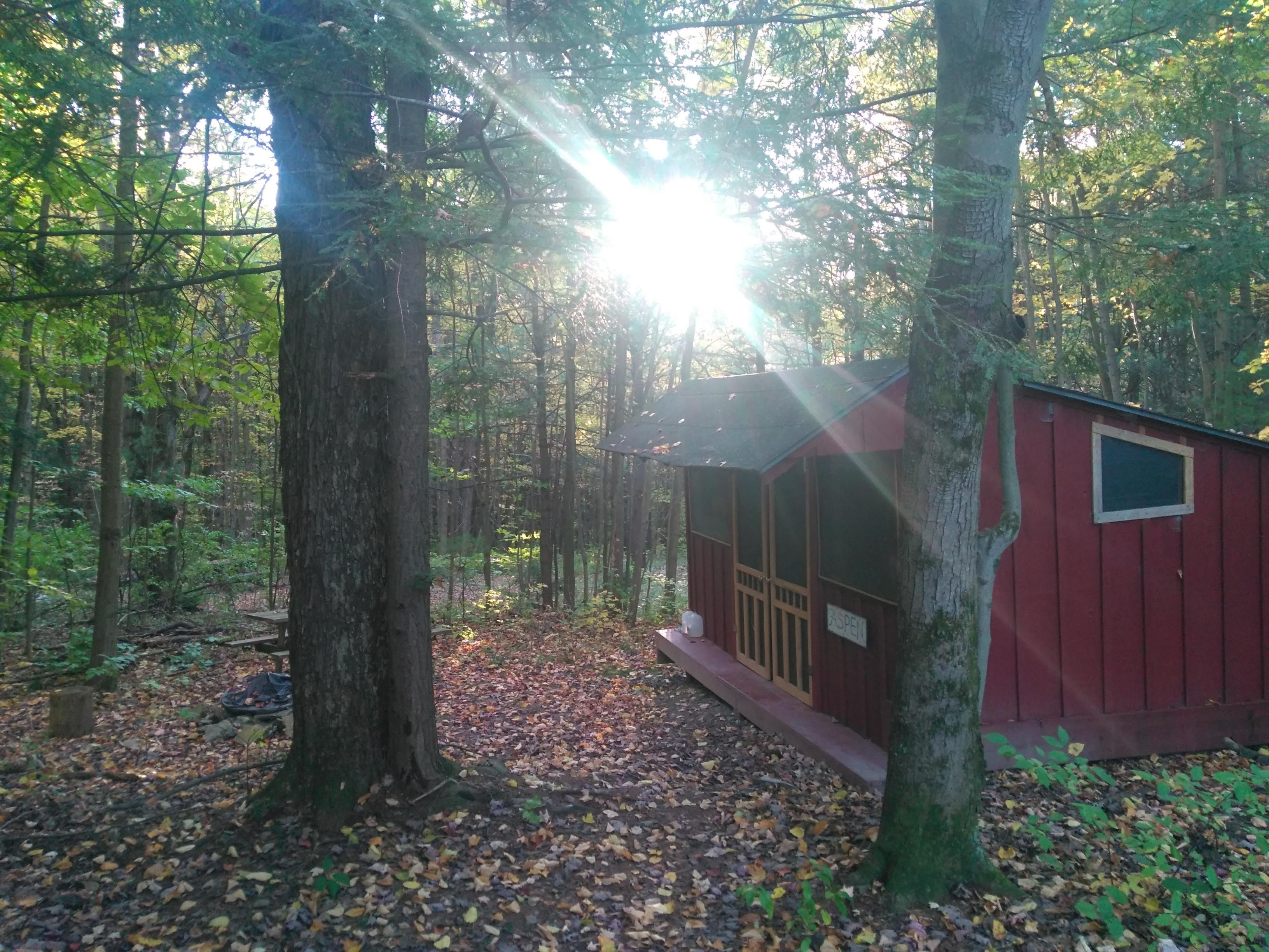 Writer's Retreat Cabin