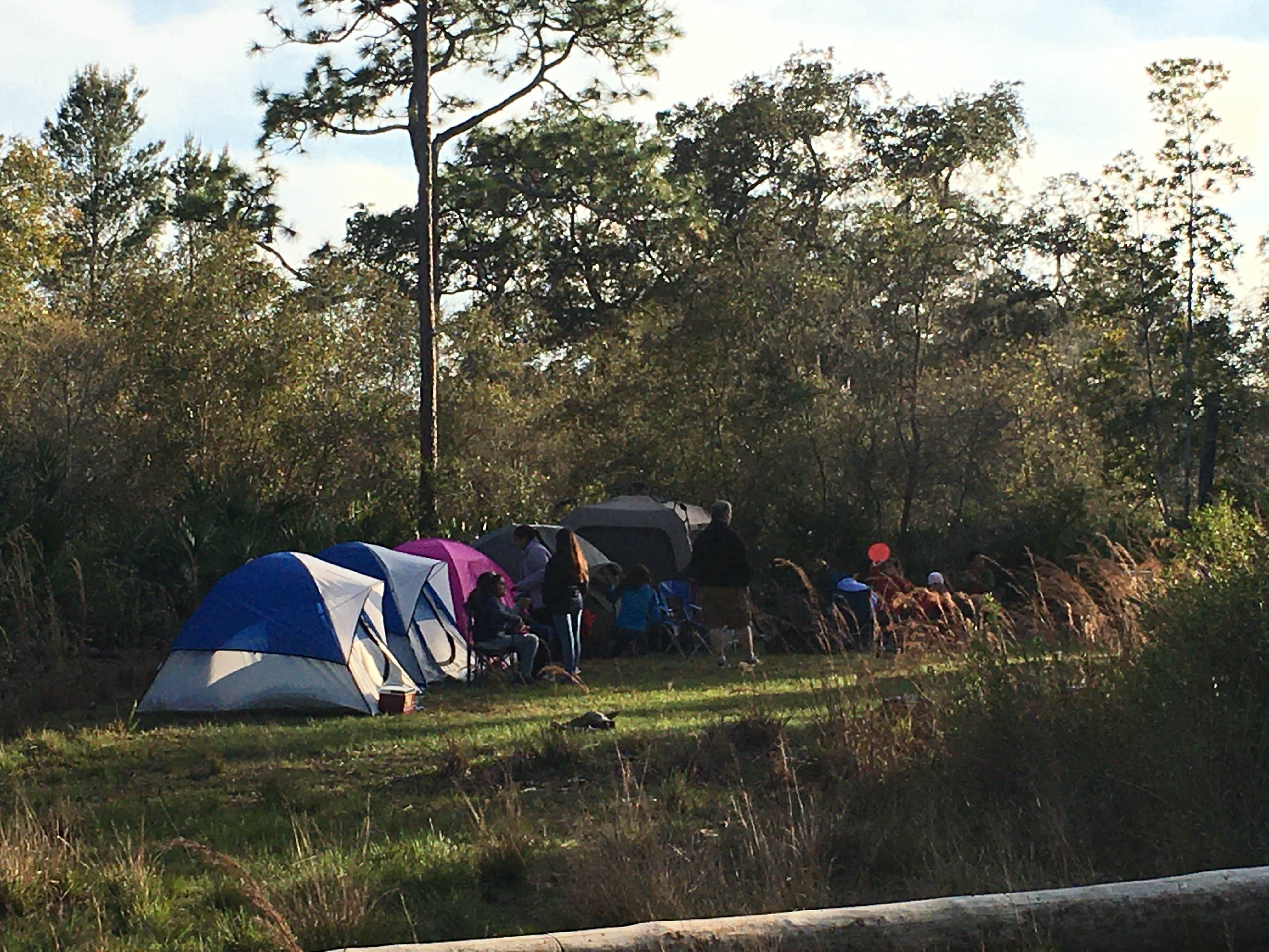 Camper submitted image from Geneva Wilderness Area - 5