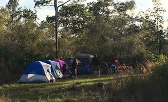 Tracy L H.'s photo at Geneva Wilderness Area near Orange City, FL