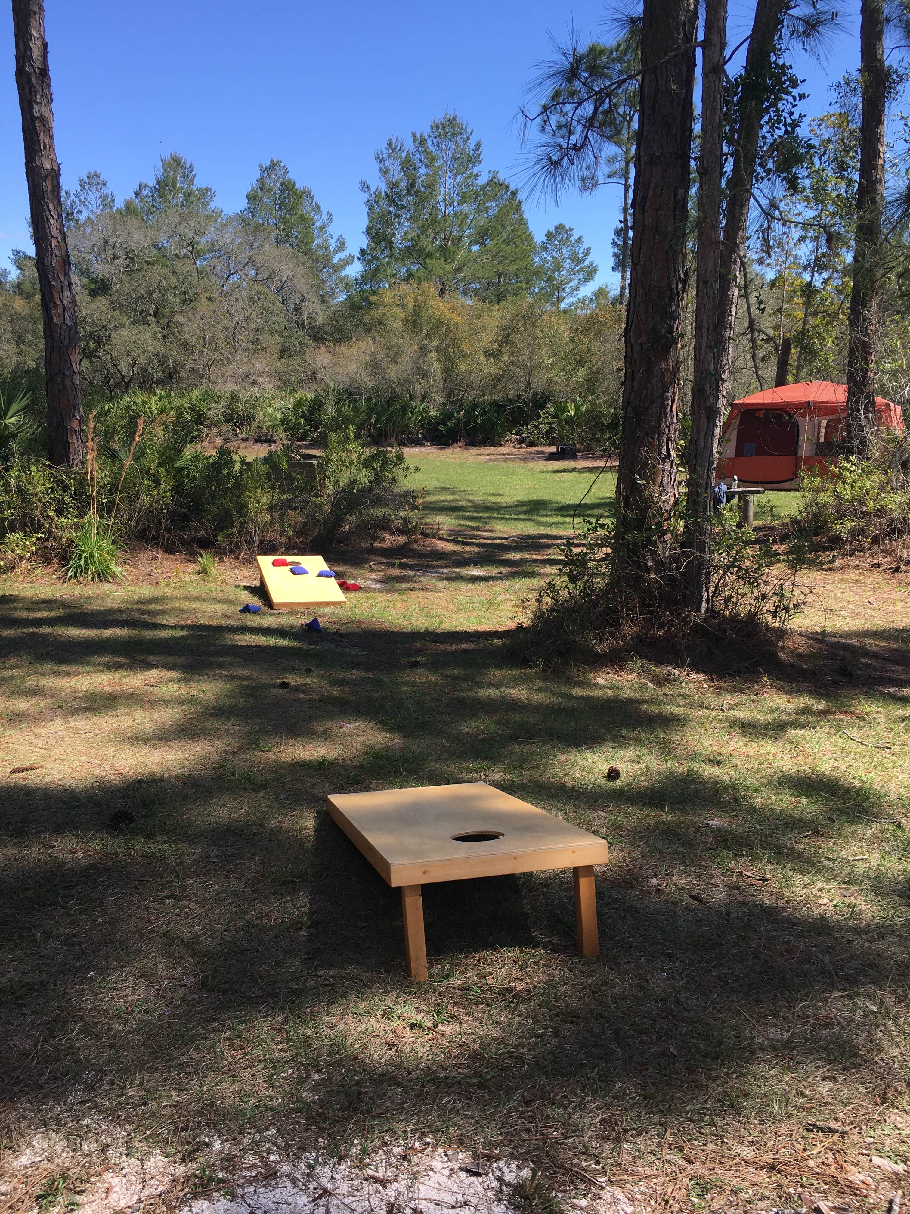 Camper-submitted photo at Geneva Wilderness Area near Osteen, FL