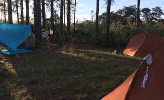 Tracy L H.'s photo at Geneva Wilderness Area near Cocoa, FL