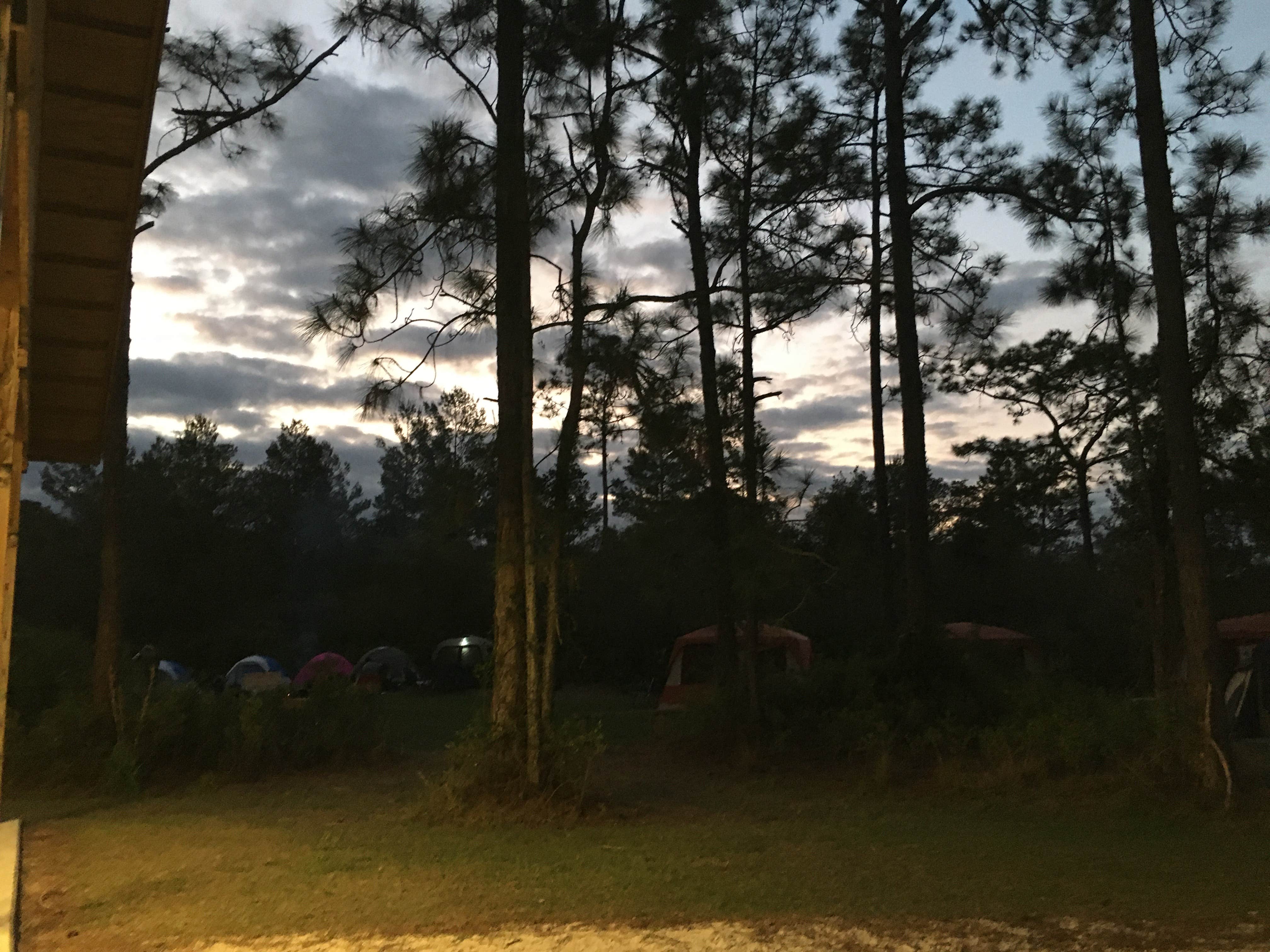Tracy L H.'s photo at Geneva Wilderness Area near Oak Hill, FL