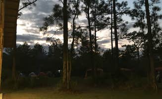 Tracy L H.'s photo at Geneva Wilderness Area near Oak Hill, FL