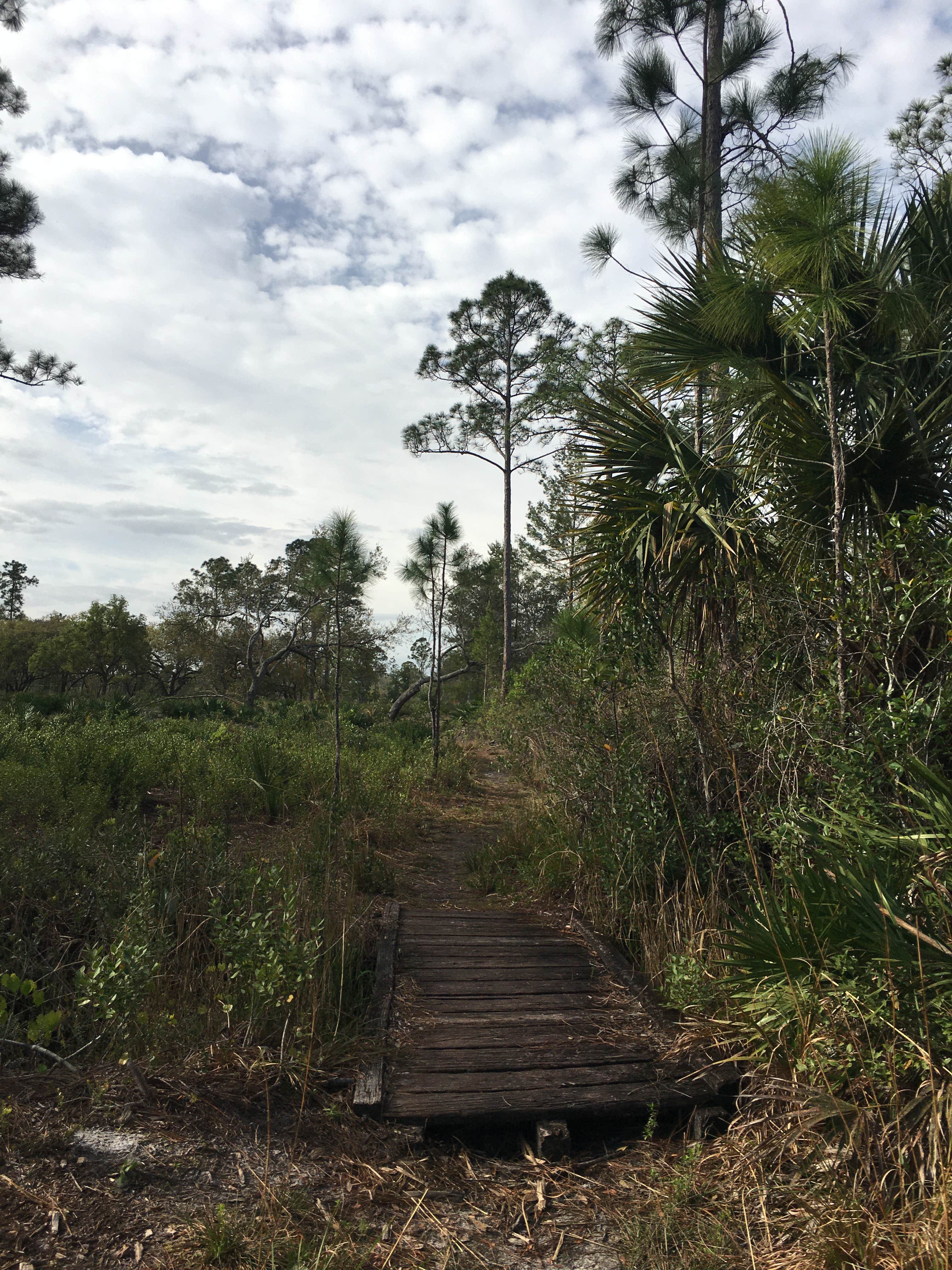 Geneva Wilderness Area