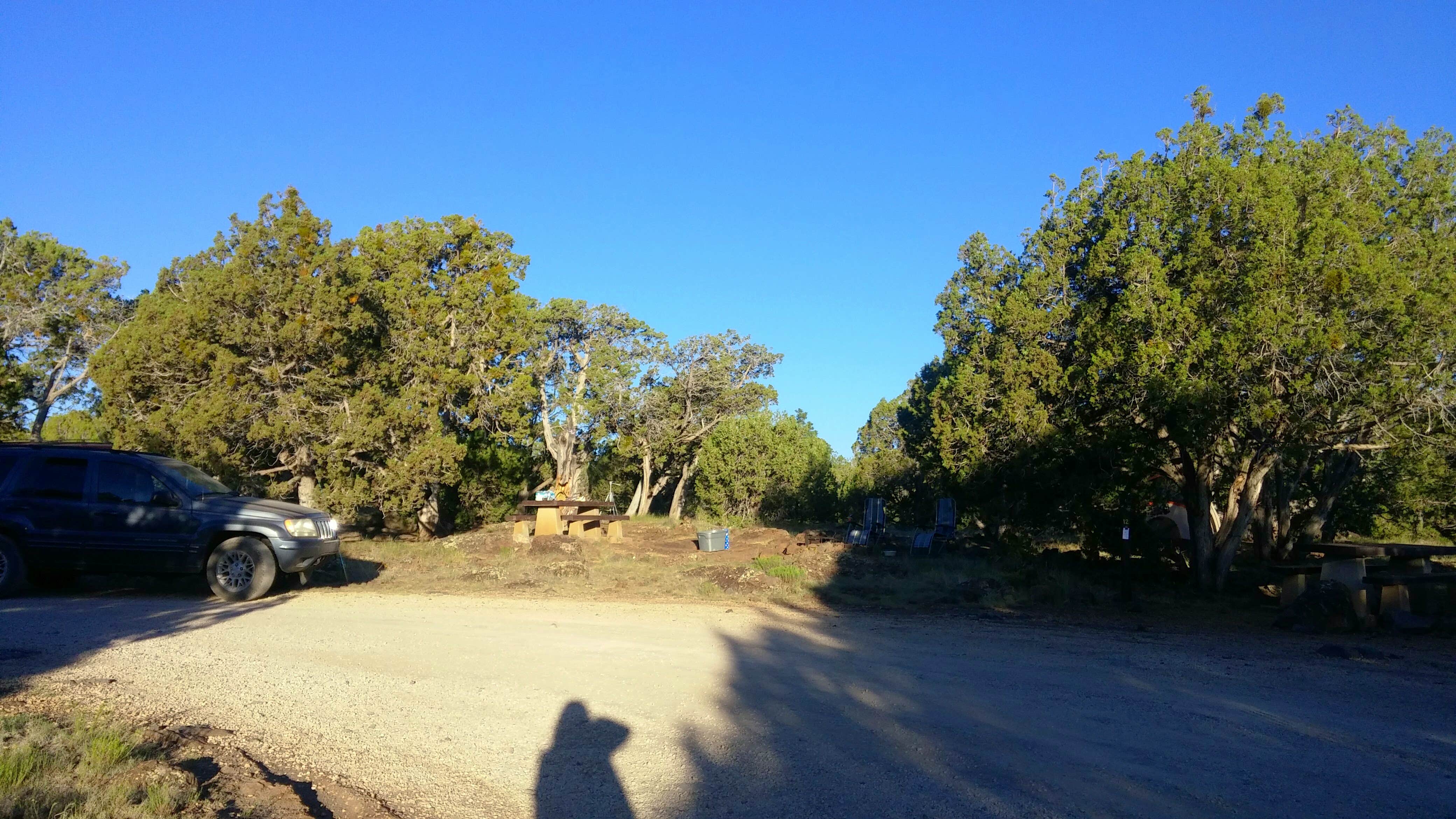 Camper submitted image from Ashurst Lake — Coconino National Forest Recreation - 4