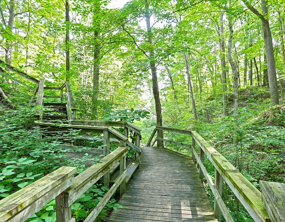 Camper-submitted photo at Thousand Trails Bear Cave near Niles, MI