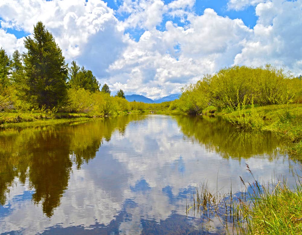 Camper-submitted photo at Tahoe Valley Campground near Coleville, CA