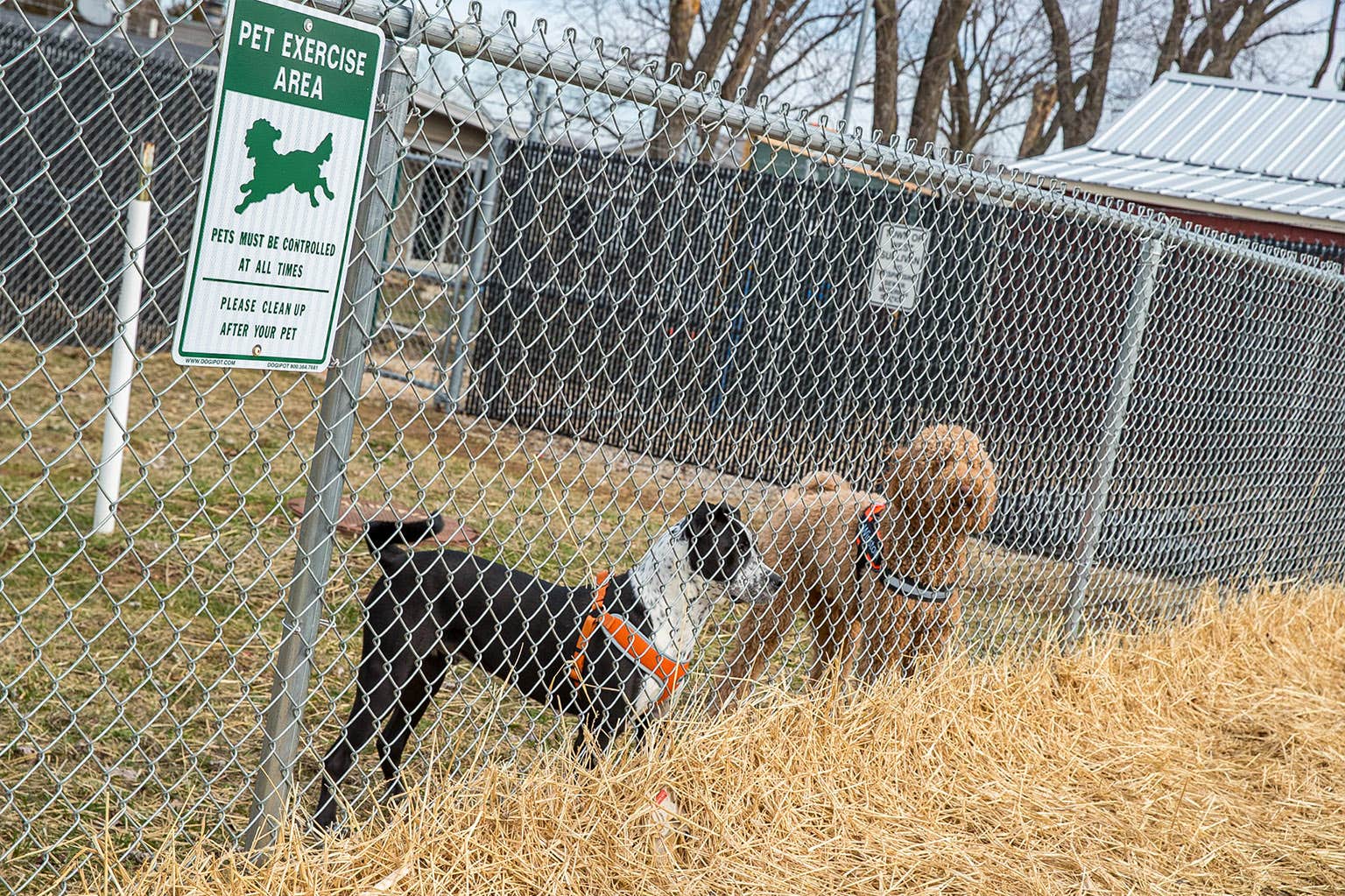Stephanie P.'s photo of camping with pets at RV Self-Park near Stanton, MO
