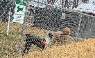 Stephanie P.'s photo of camping with pets at RV Self-Park near Hillsboro, MO