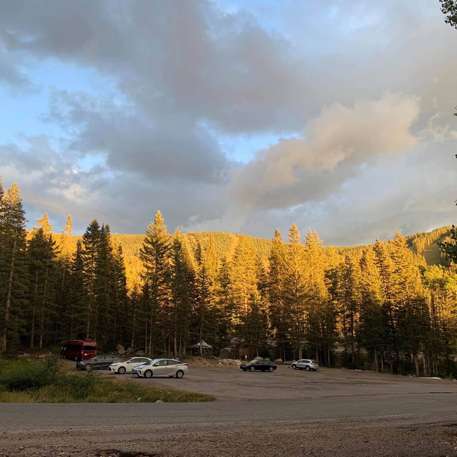 Escape to Enchantment: Your Guide to New Mexico's Aspen Basin Campground