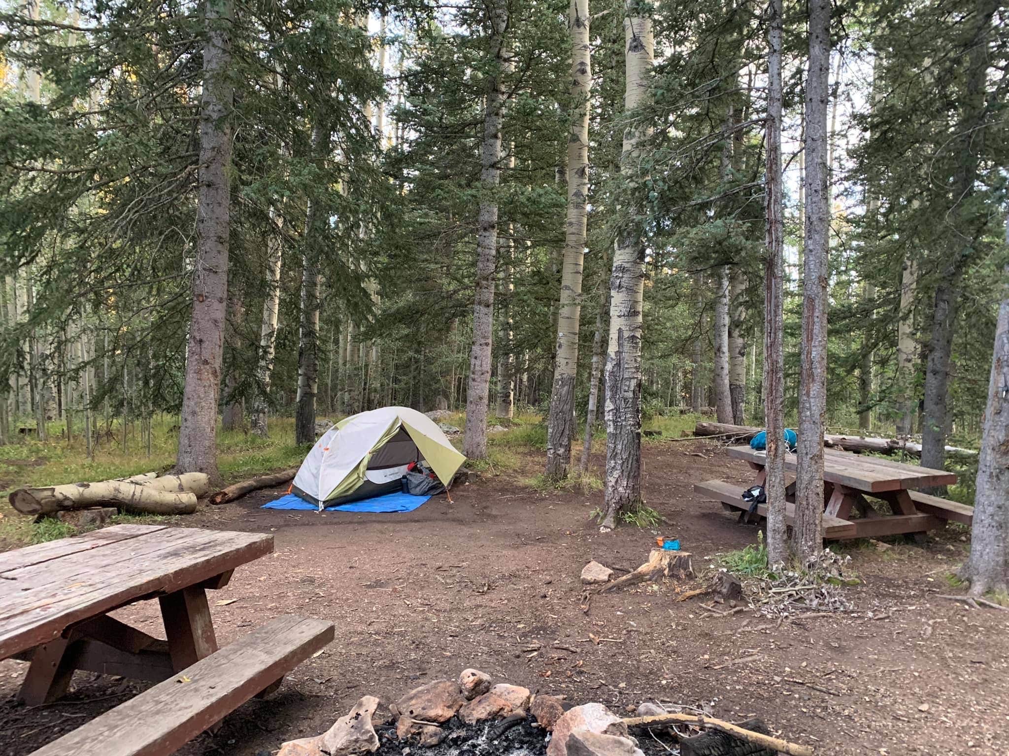 Sarah L.'s photo of tent camping at Aspen Basin Campground near Abiquiu Lake