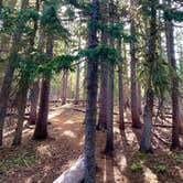 Review photo of Aspen Basin Campground by Sarah L., March 18, 2020