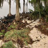 Review photo of Fontainebleau State Park Campground by Jaclyn M., March 19, 2020