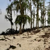 Review photo of Fontainebleau State Park Campground by Jaclyn M., March 19, 2020