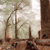 Review photo of Fontainebleau State Park Campground by Jaclyn M., March 19, 2020