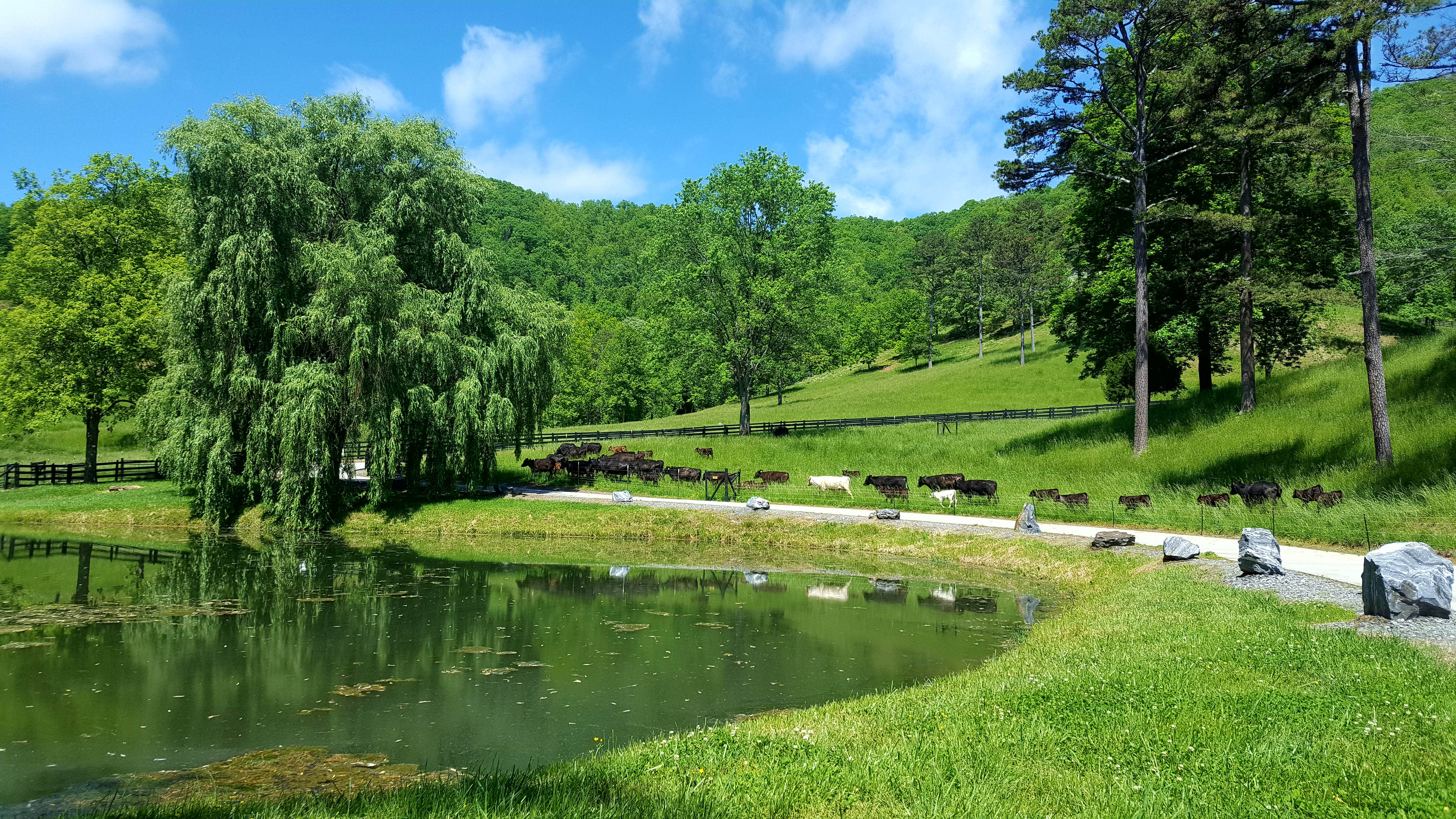 Camper-submitted photo at Walnut Hollow RV Ranch near Tusquitee National Forest