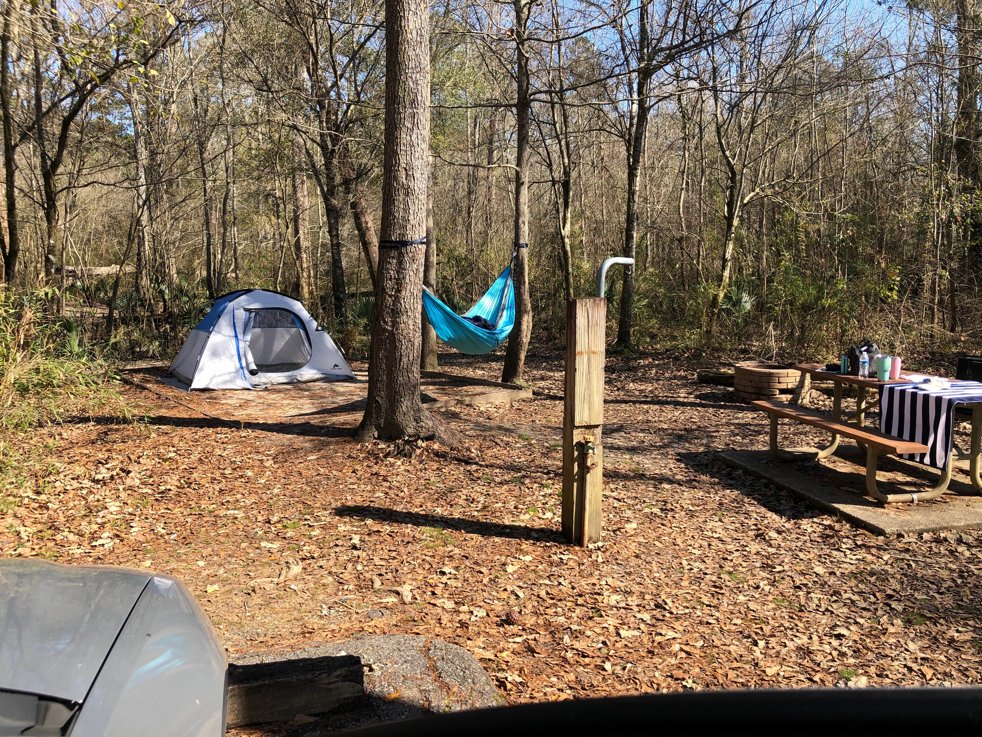 Jaclyn M.'s photo at Tickfaw State Park Campground near Springfield, LA