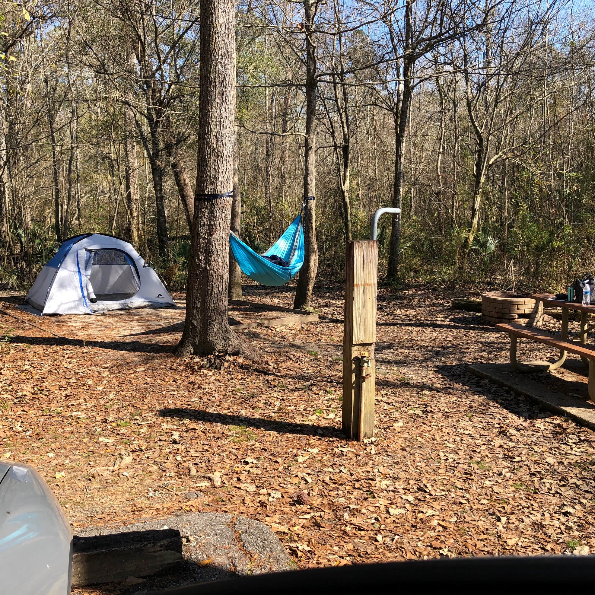 Tickfaw State Park Camping | The Dyrt