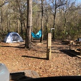 Review photo of Tickfaw State Park Campground by Jaclyn M., March 19, 2020