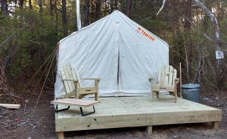 The Dyrt's photo at Spring Hill on Cape Cod Cranberry Farm near Provincetown, MA