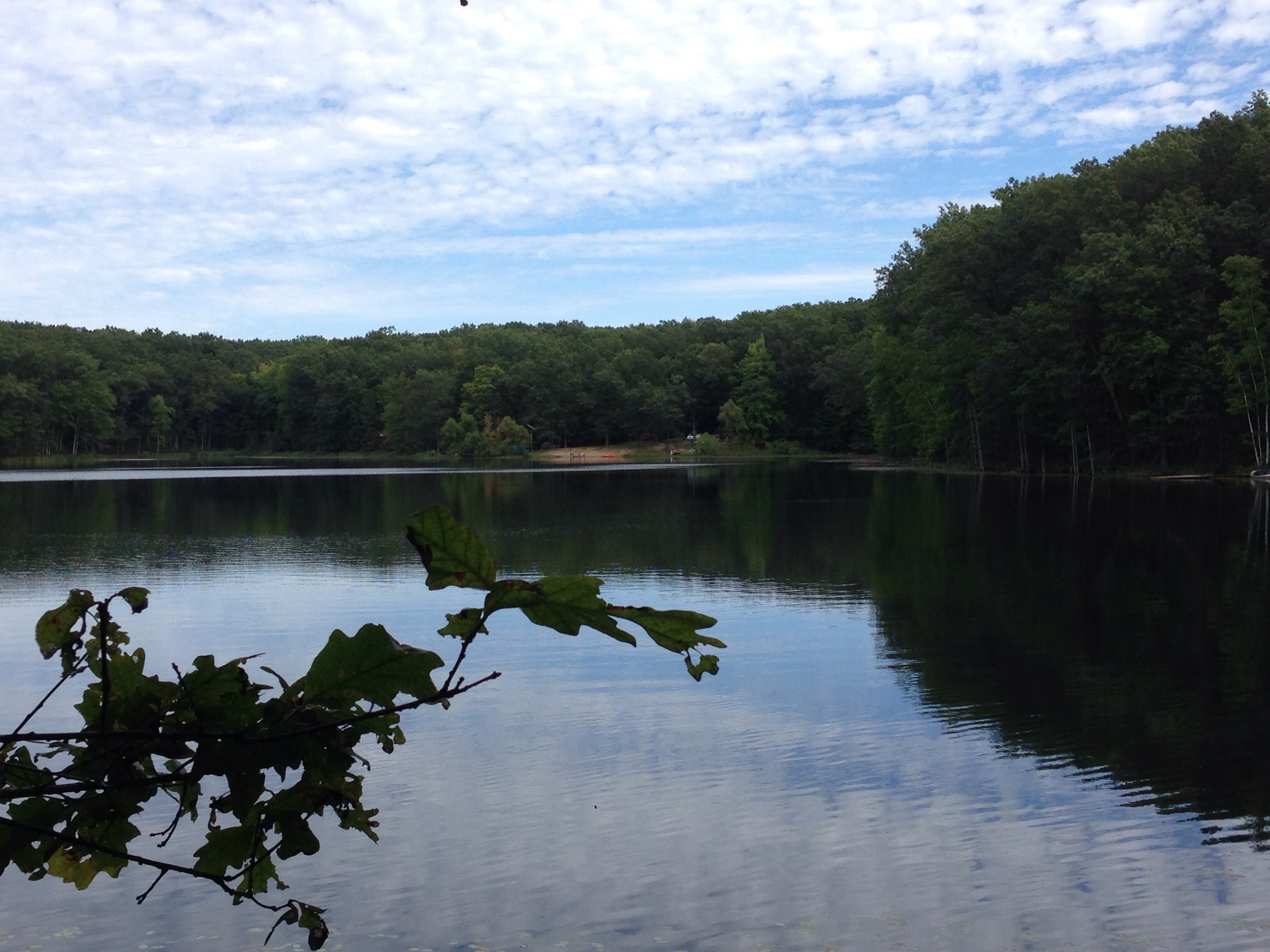 Camper submitted image from Highbank Lake Campground - 5