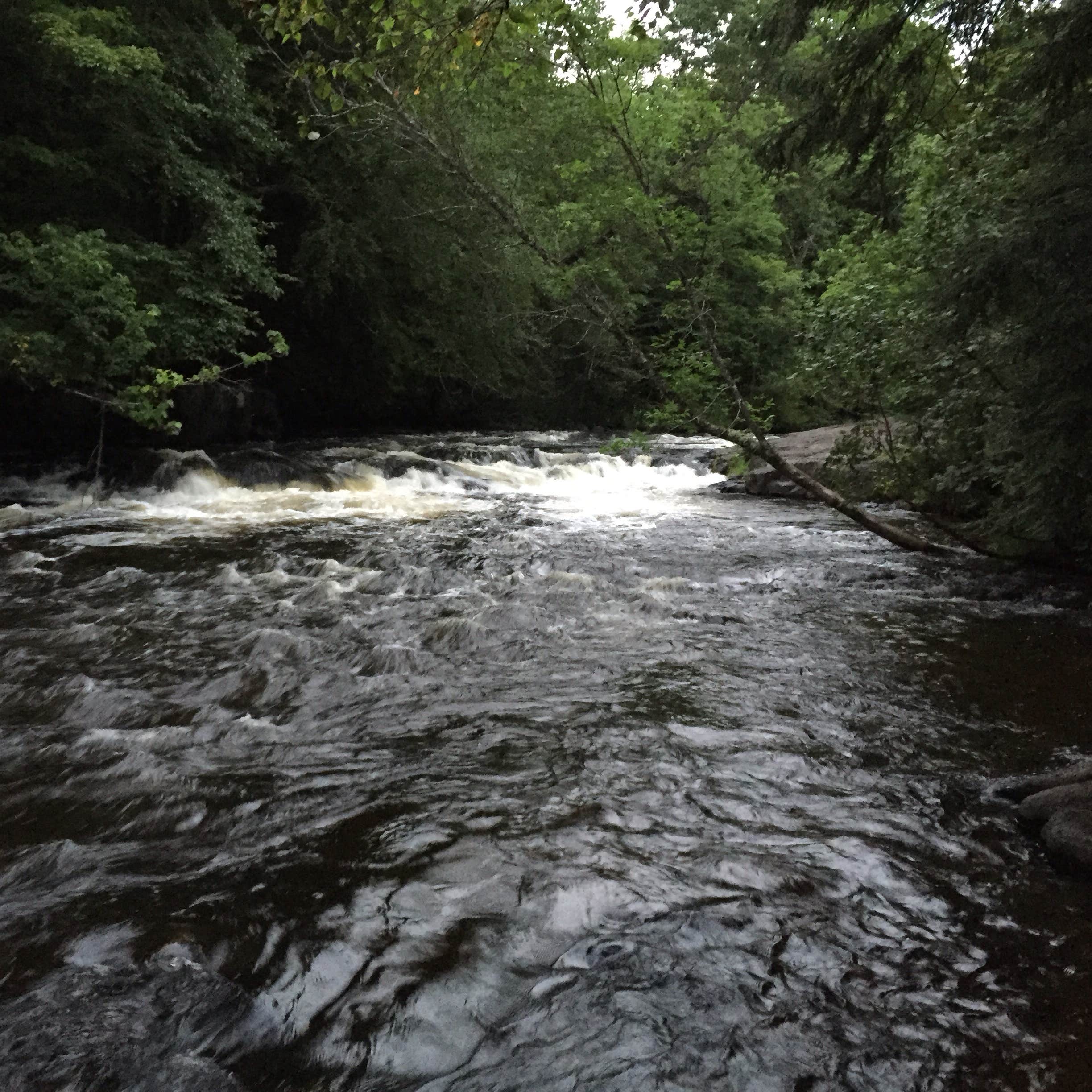 Bagley Rapids NF Campground Camping The Dyrt