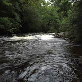 Review photo of Bagley Rapids NF Campground by Artem  I., September 7, 2017