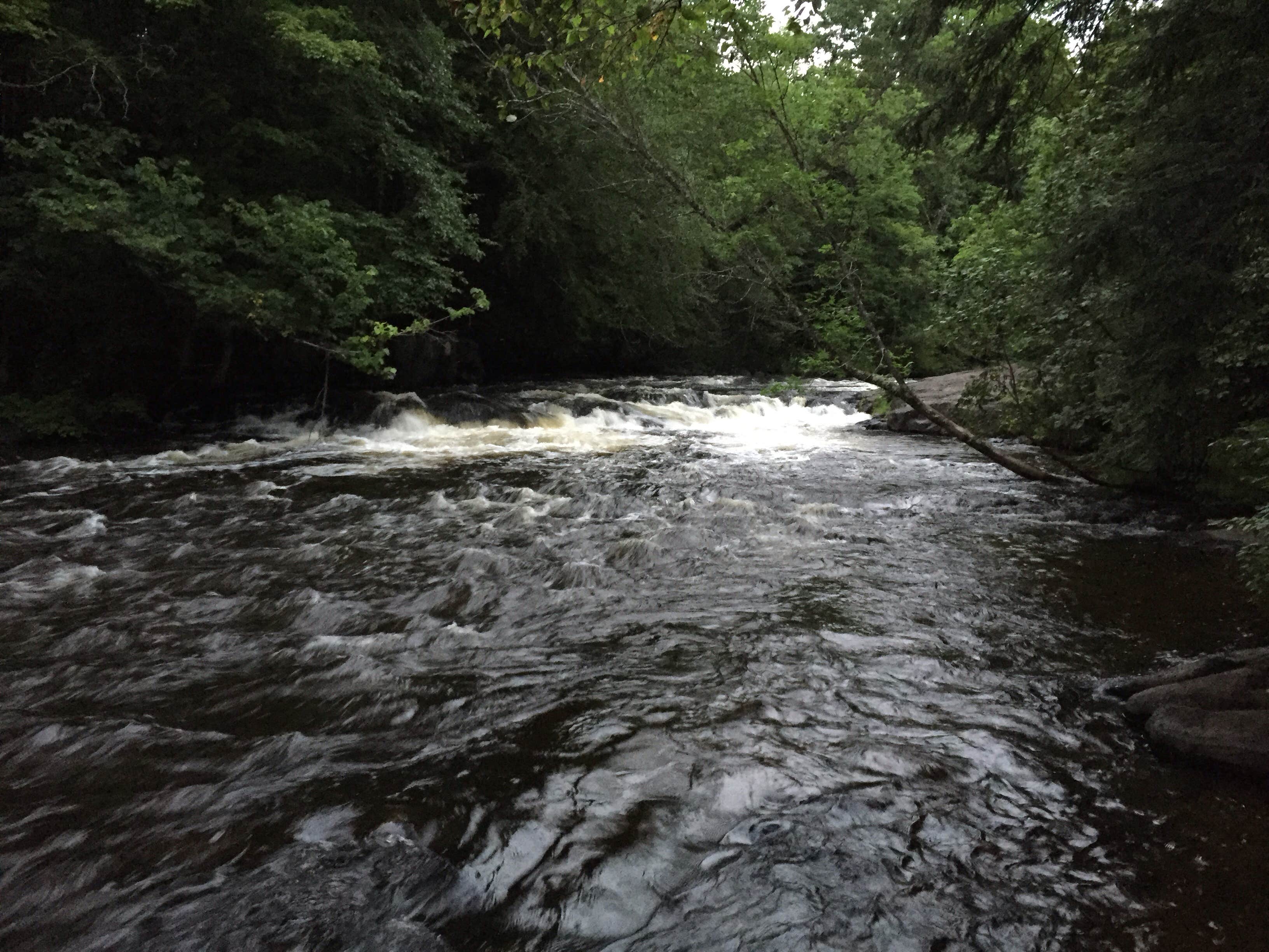 Camper submitted image from Bagley Rapids NF Campground - 3