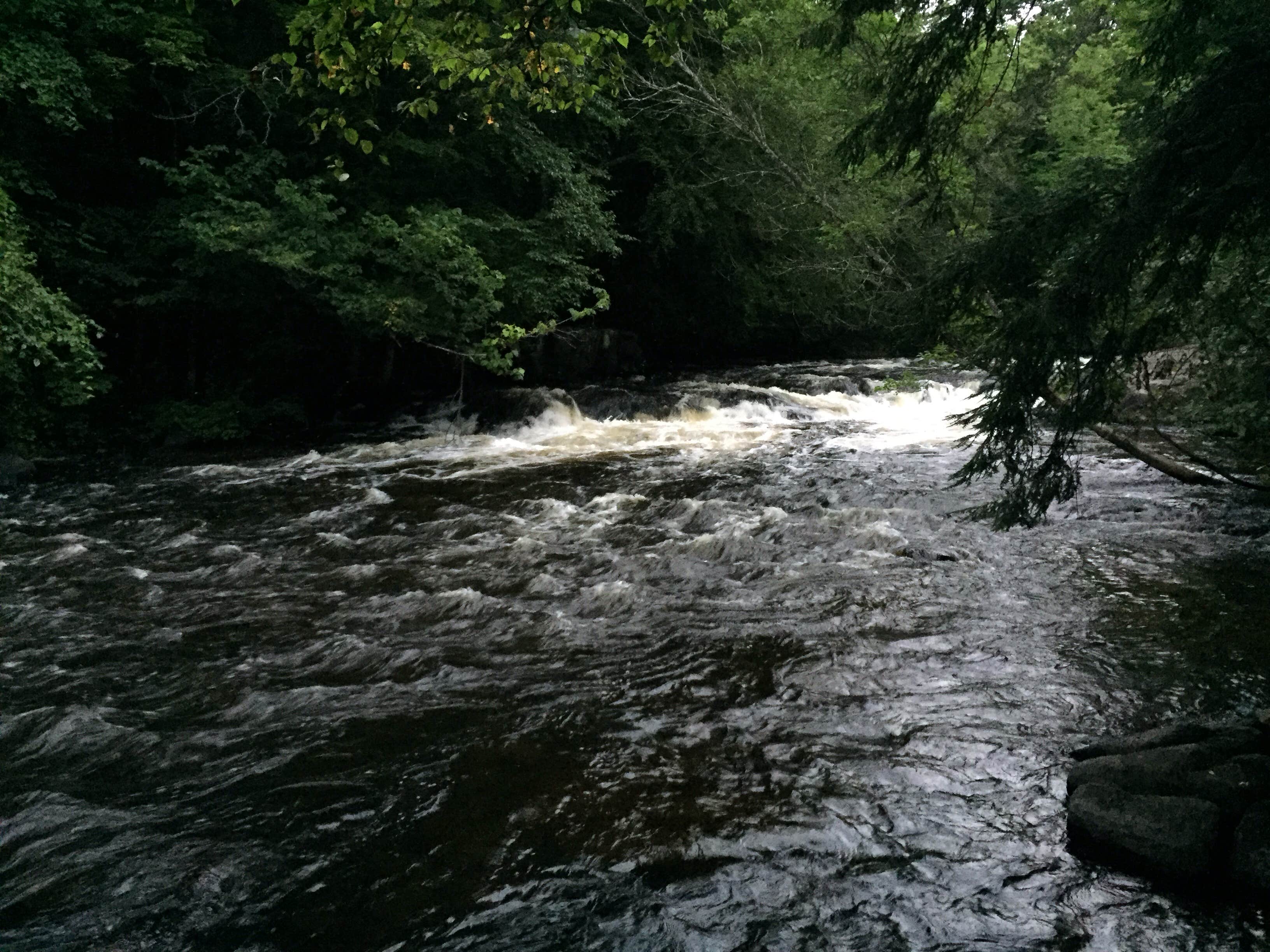 Camper submitted image from Bagley Rapids NF Campground - 2